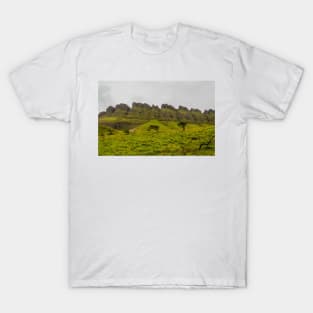 Benbulben Mountain, Sligo, Ireland - Detail T-Shirt